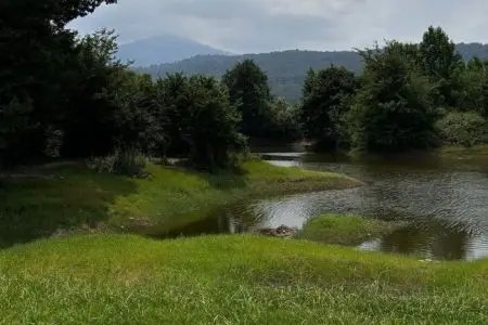 اجاره کلبه سوئیسی در بابلکنار - گونه کلا، عکس ۱۴