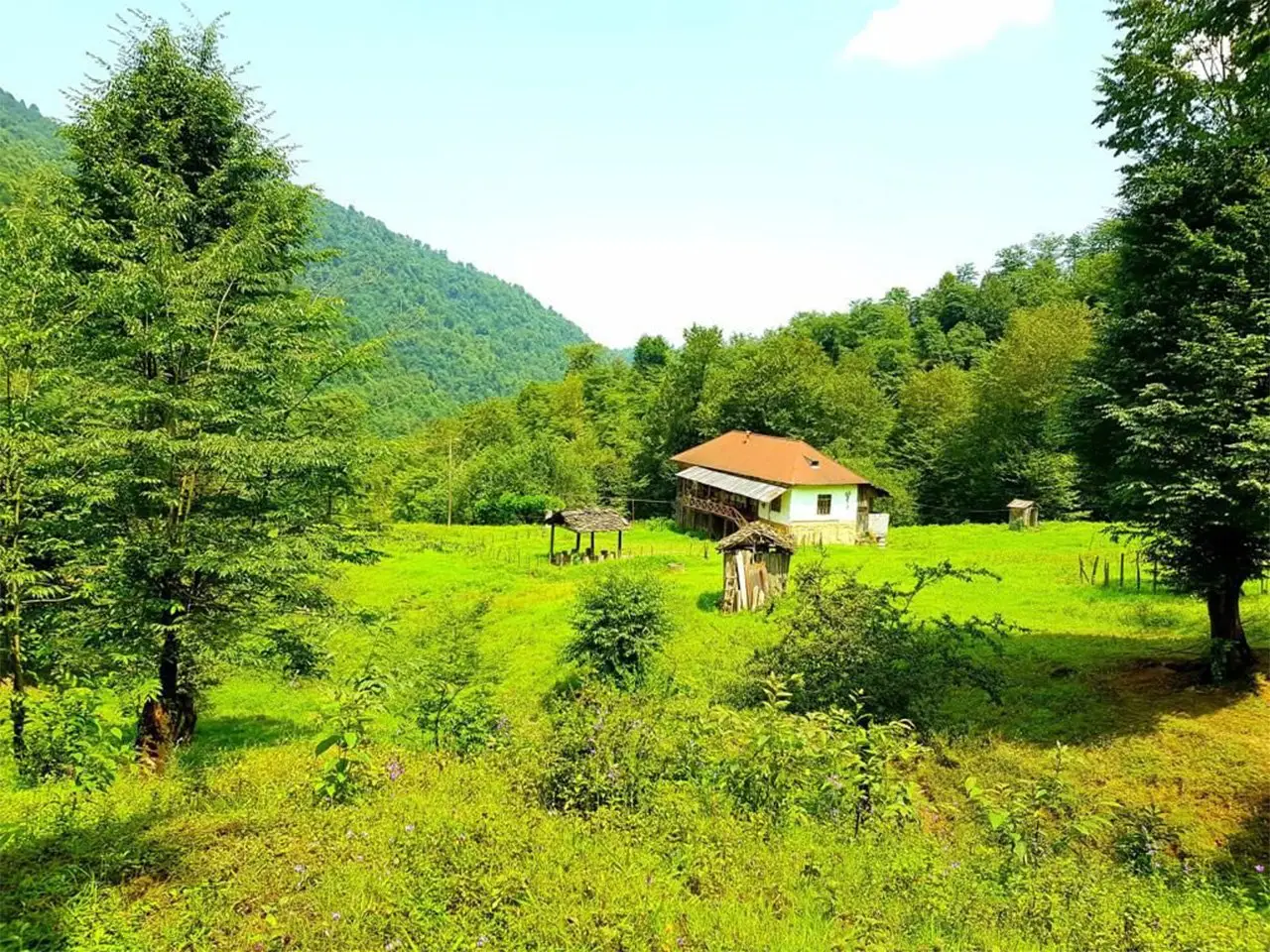 خانه روستایی در سوادکوه - لفور
