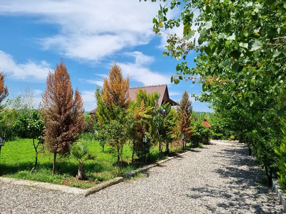 اجاره کلبه سوئیسی با جکوزی در بابلکنار، عکس ۲