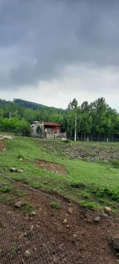 اجاره ویلا جنگلی نزدیک دریاچه لفور - جکوزی دار، عکس ۲